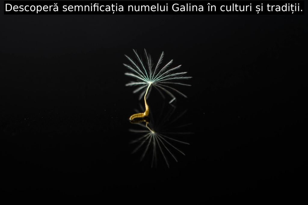 Descoperă semnificația numelui Galina în culturi și tradiții.